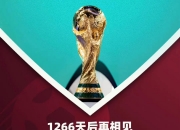 B体育体育培训-热血球迷追逐梦想，见证足球传奇的简单介绍