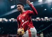 B体育体育登录-包含阿森纳准备迎战南安普敦，士气高涨的词条